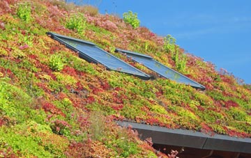 Gilroyd living roof systems